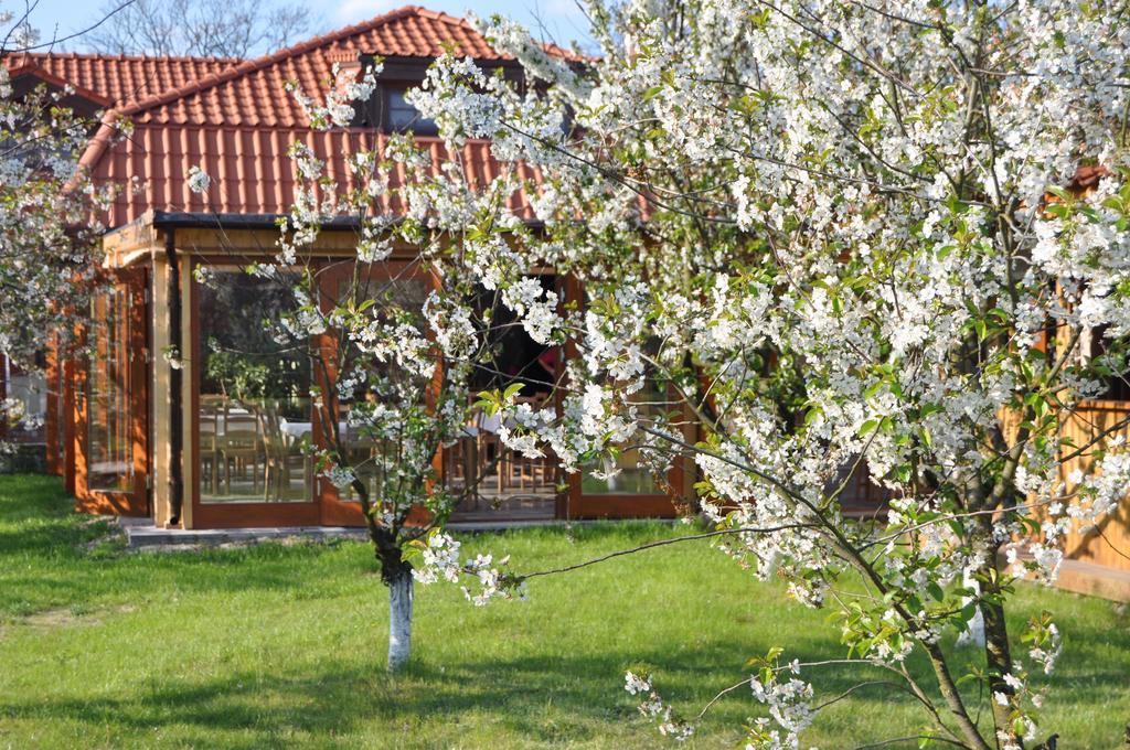 Gosciniec Gryszczeniowka & Spa Wargowo Esterno foto